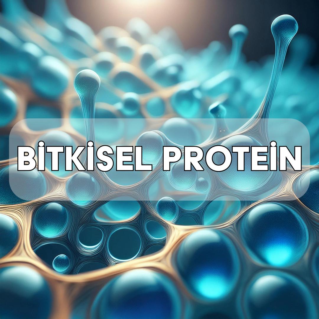 Bitkisel Proteinler