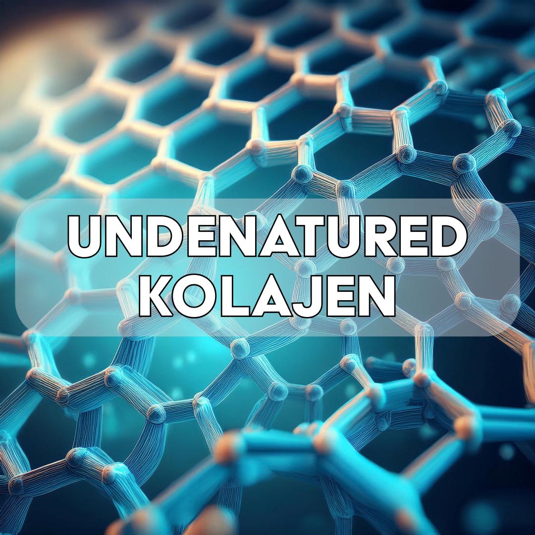 Undenatured Collagen